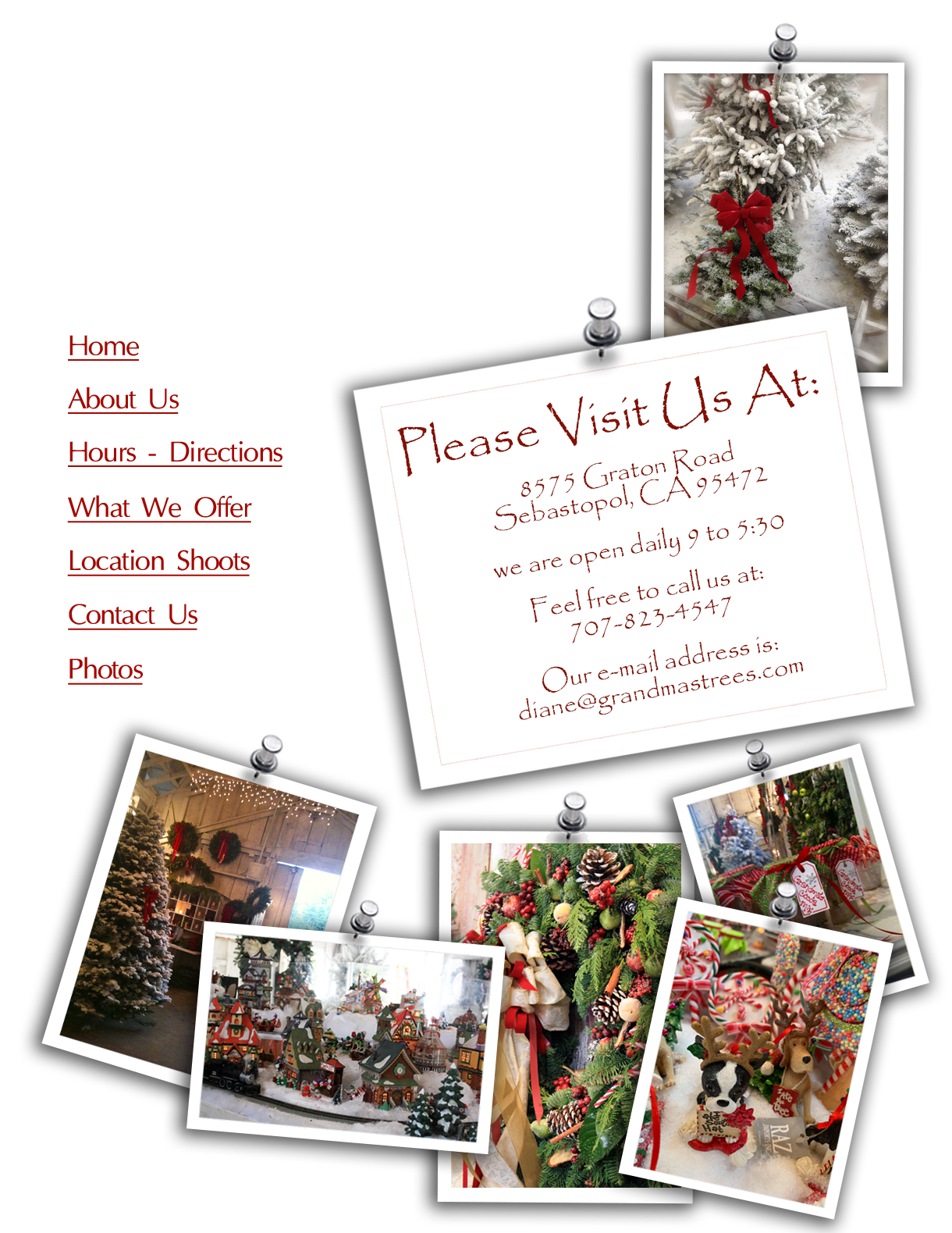 Grandma's Christmas Trees Sebastopol, CA [contact us]